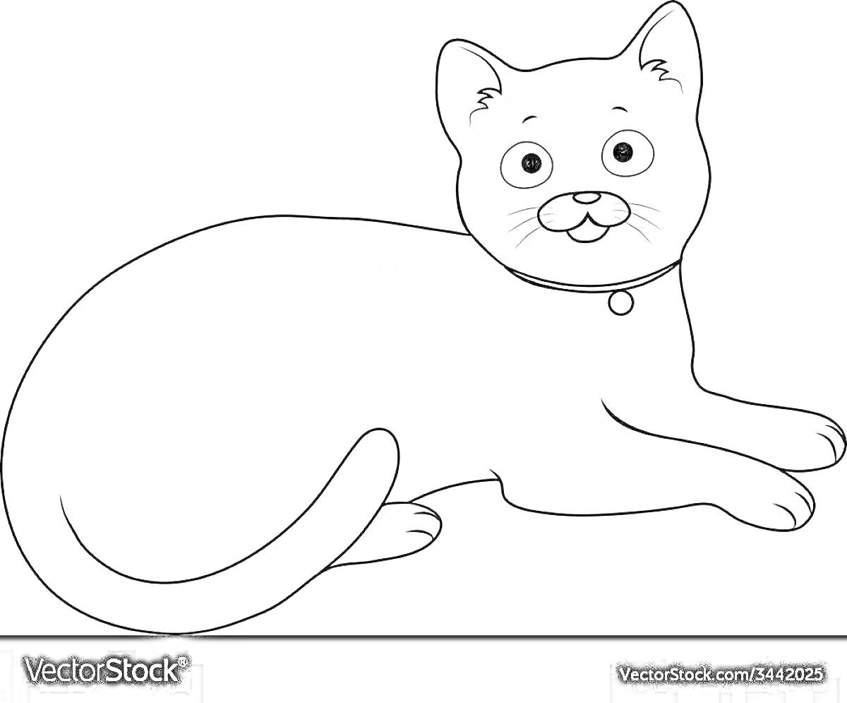 Раскраска Кошка лежит с ошейником
