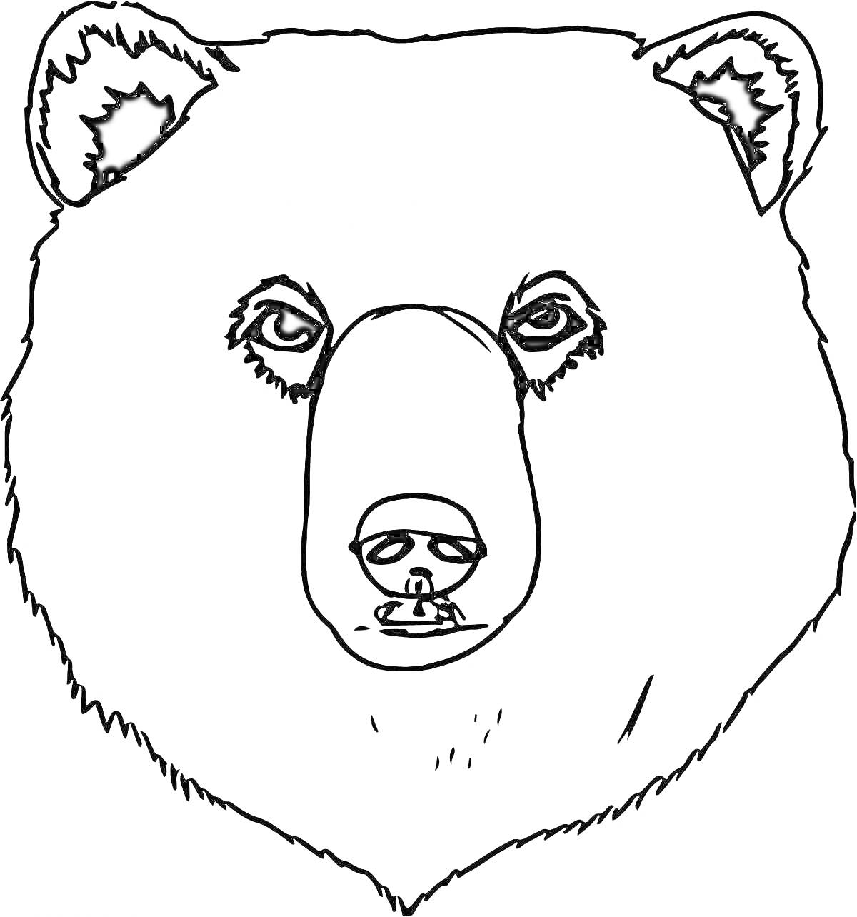 На раскраске изображено: Медведь, Маска, Животные, Уши, Лицо, Нос, Для детей, Глаза, Контурные рисунки