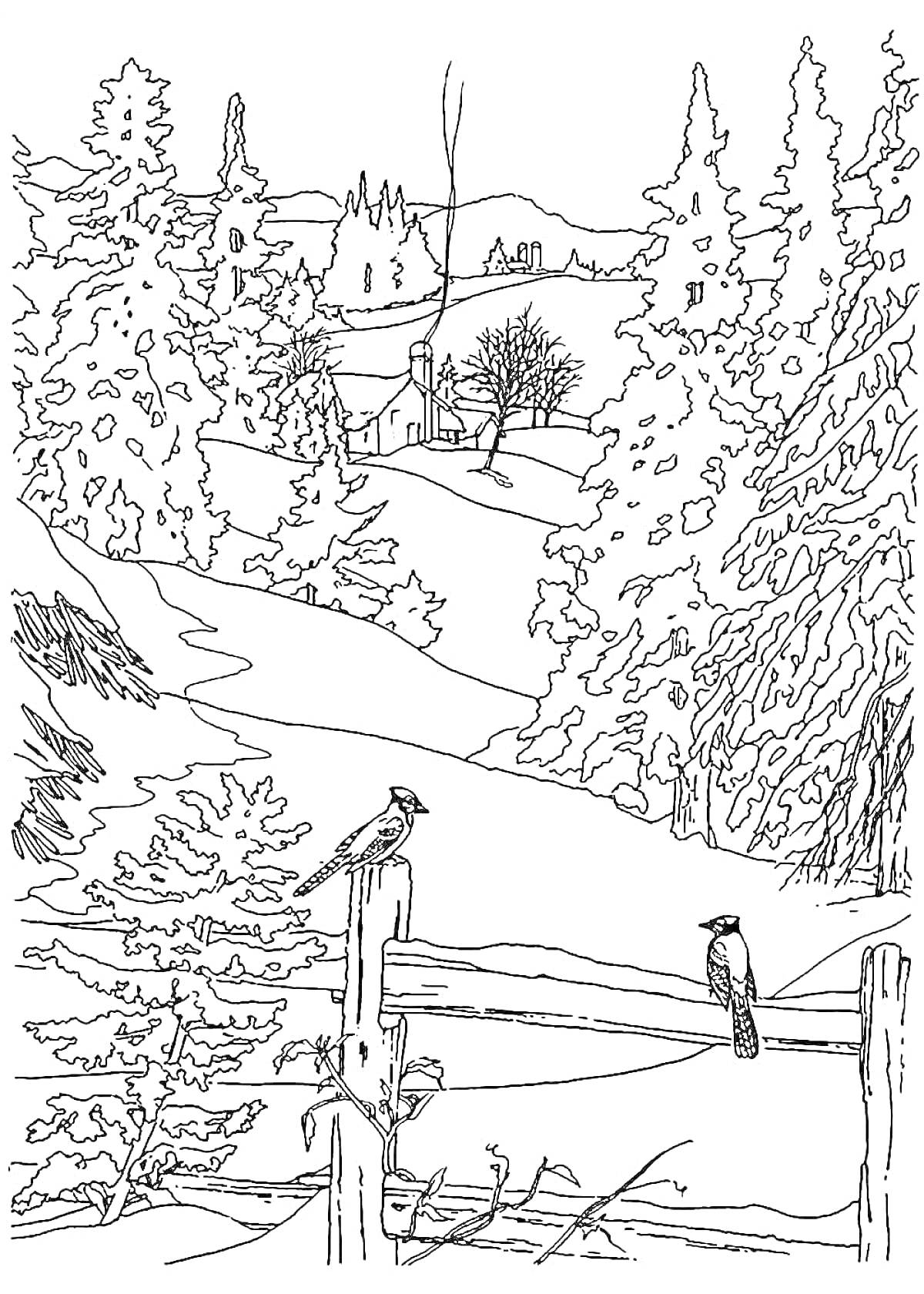 Раскраска Зимний пейзаж с домом, деревьями, оградой и двумя птицами