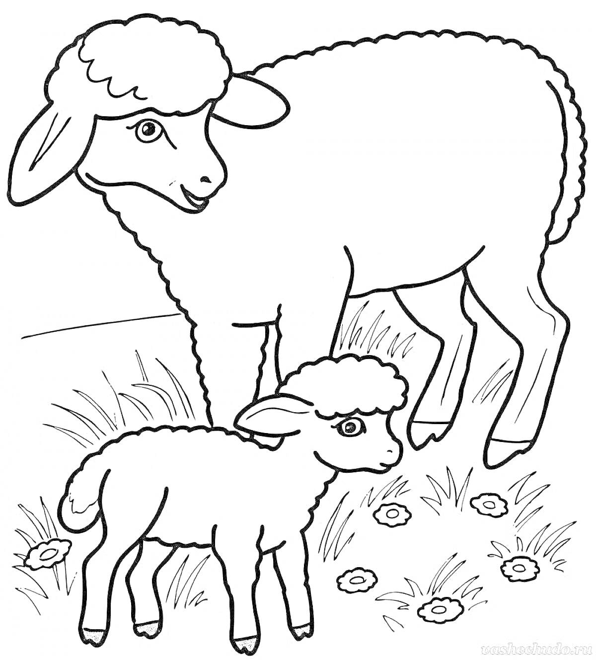 Раскраска Овца и ягненок на лугу среди травы и цветов