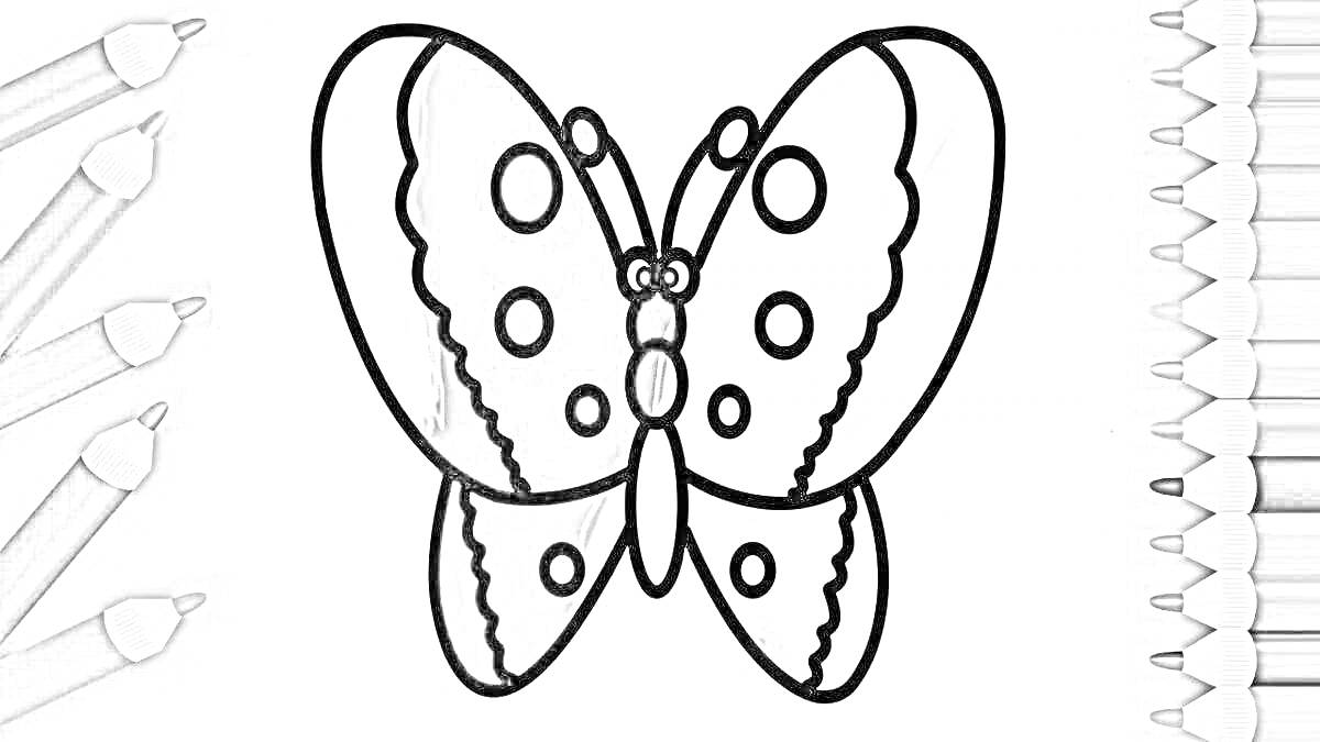 Раскраска Раскраска бабочки с карандашами по бокам