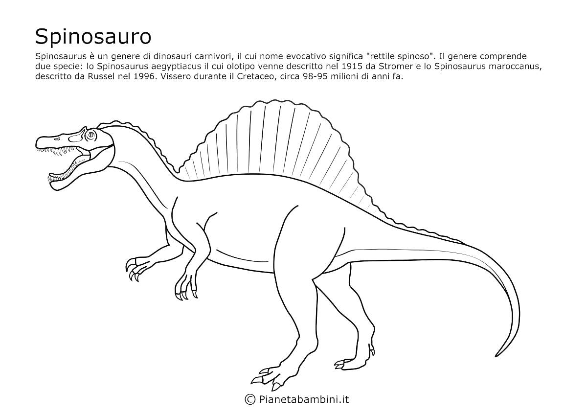 Раскраска Спинозавр с гребнем и хвостом в профиль