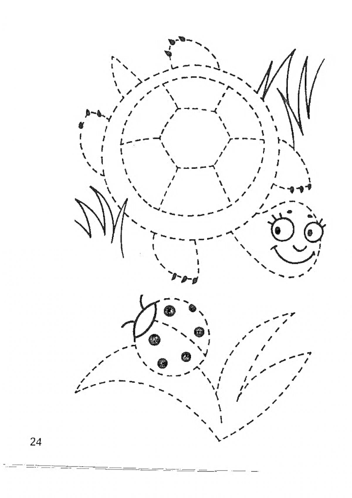 На раскраске изображено: Черепаха, Детский сад, Для детей, Развивающие, Трава, 4 года, 5 лет
