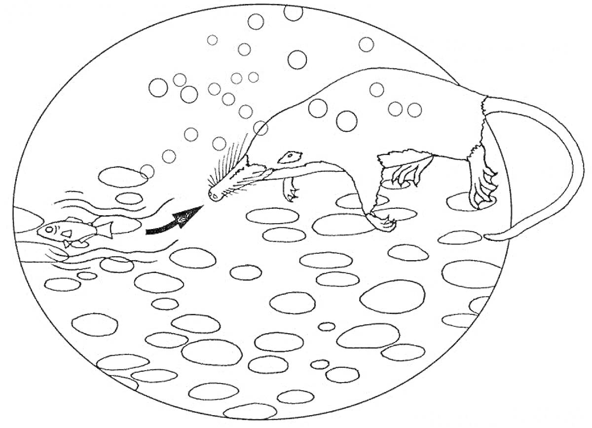 Раскраска Выхухоль под водой с пузырями и рыбкой