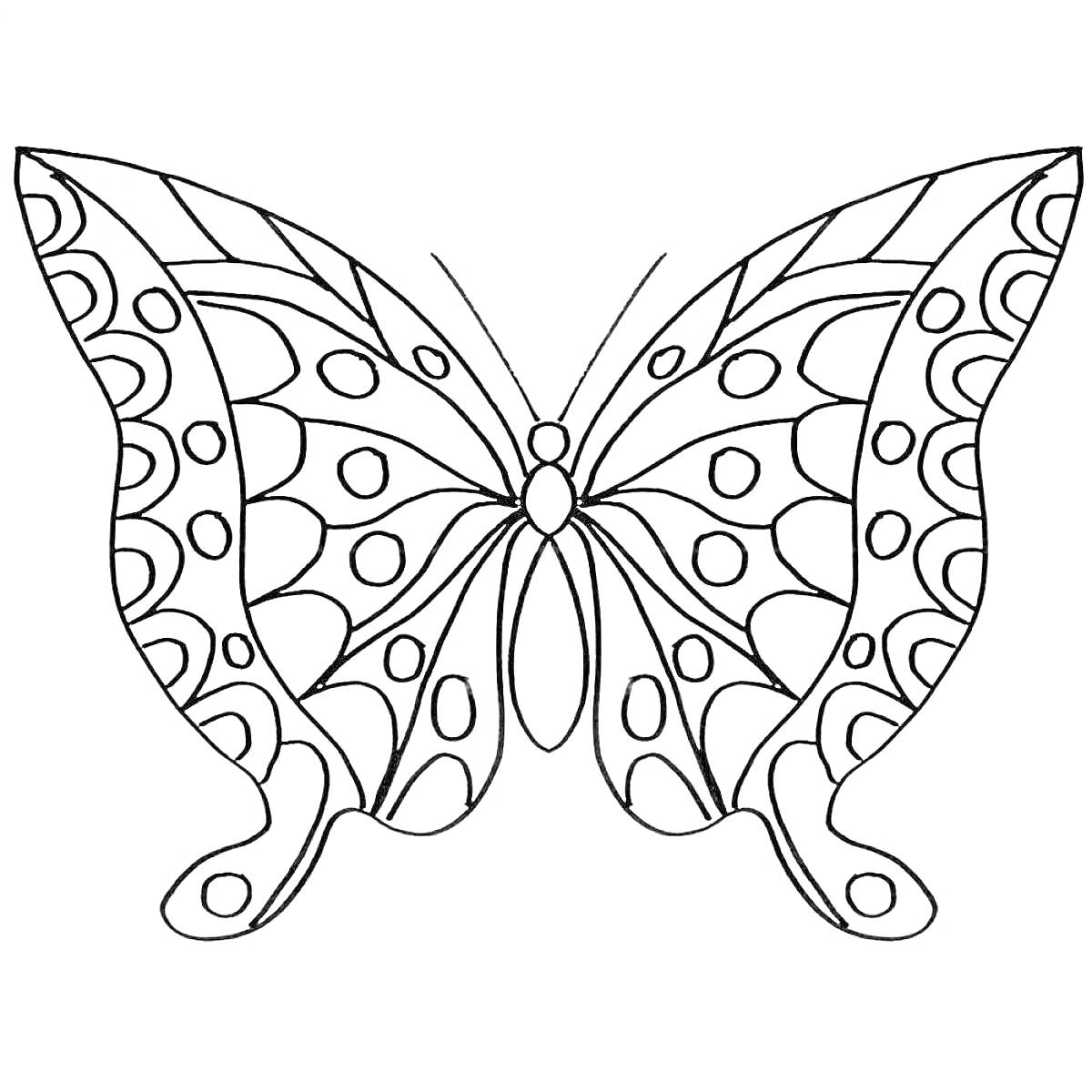 На раскраске изображено: Бабочка, Узоры, Крылья, Для детей, Животные, 6-7 лет