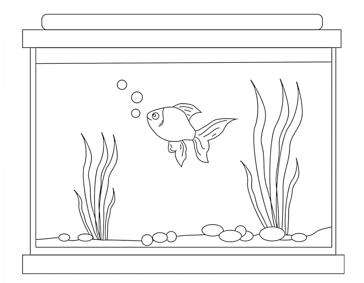 Раскраска Аквариум с рыбкой, водорослями и пузырьками