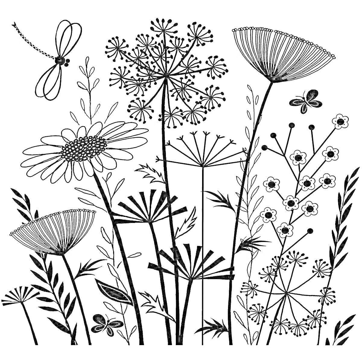 Раскраска Цветы, листья, стрекоза и бабочка