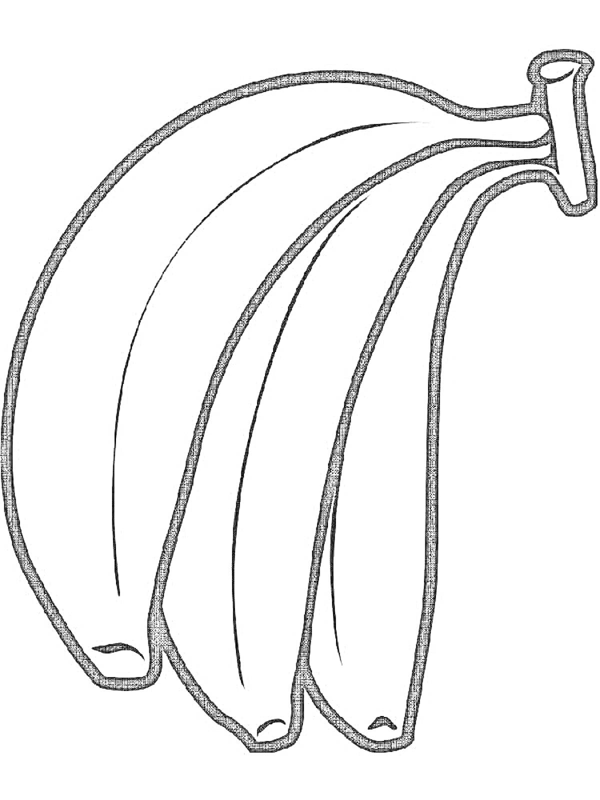 Раскраска Три банана на одной ветке