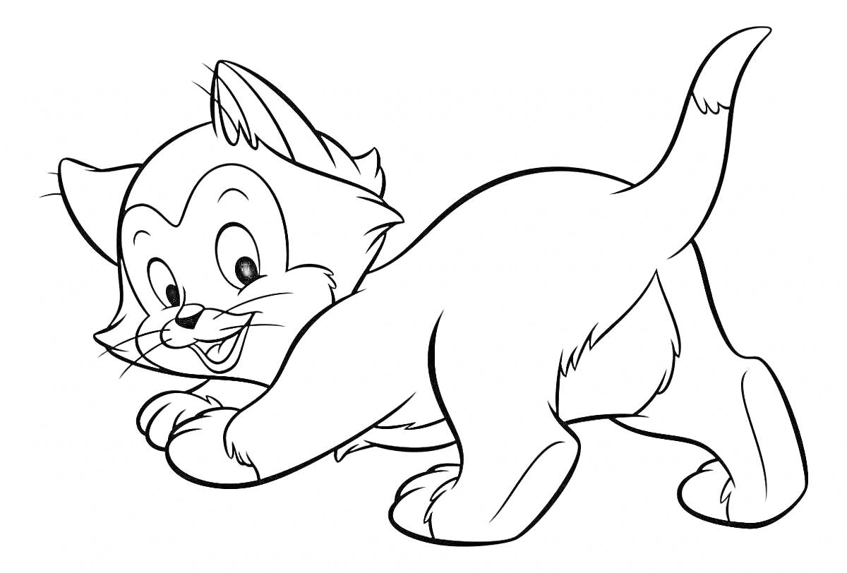 Раскраска Игривый котенок, расположенный на четырех лапах и смотрящий влево, с поднятым хвостом.