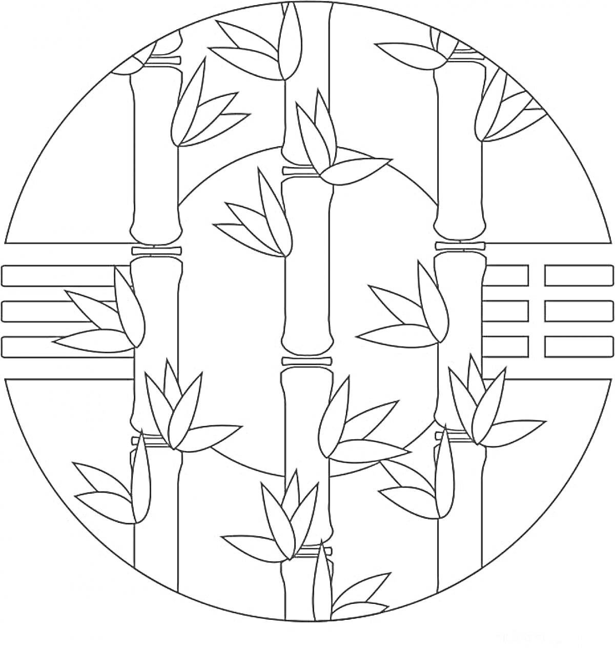 На раскраске изображено: Бамбук, Листья, Природа, Растения, Стебель, Круги