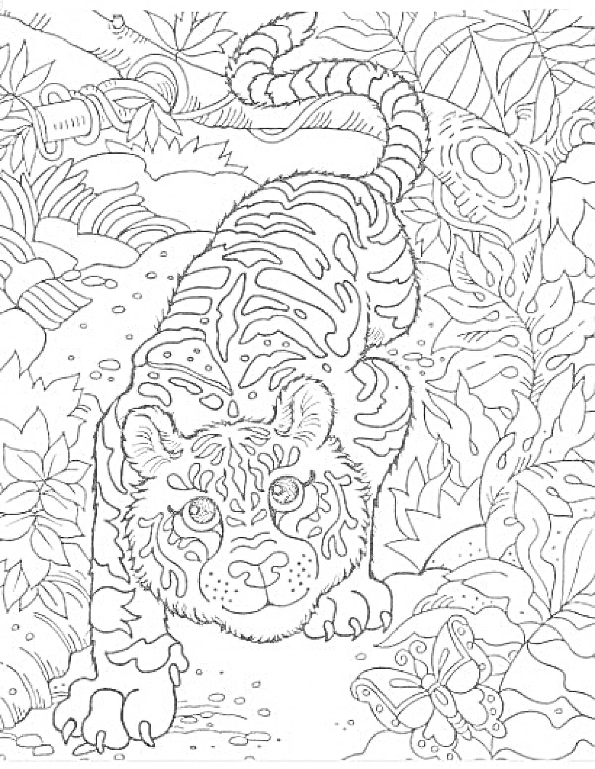 На раскраске изображено: Антистресс, Тигр, Джунгли, Бабочка, Растительность, Природа, Релакс