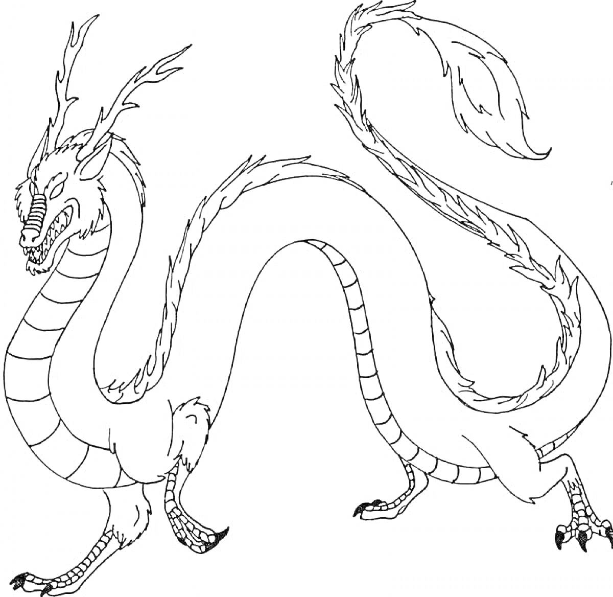 Раскраска Китайский дракон с изогнутым телом и длинным хвостом, рога, чешуя, когти