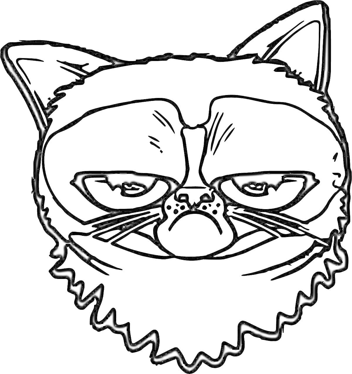 Раскраска злой кот с хмурым выражением морды, большие глаза, поднятые уши, густая шерсть на щеках