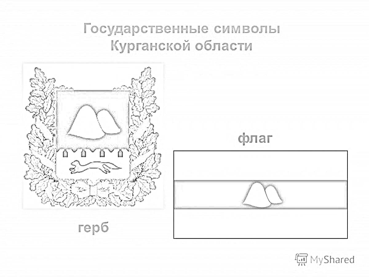 Раскраска Государственные символы Курганской области: герб и флаг