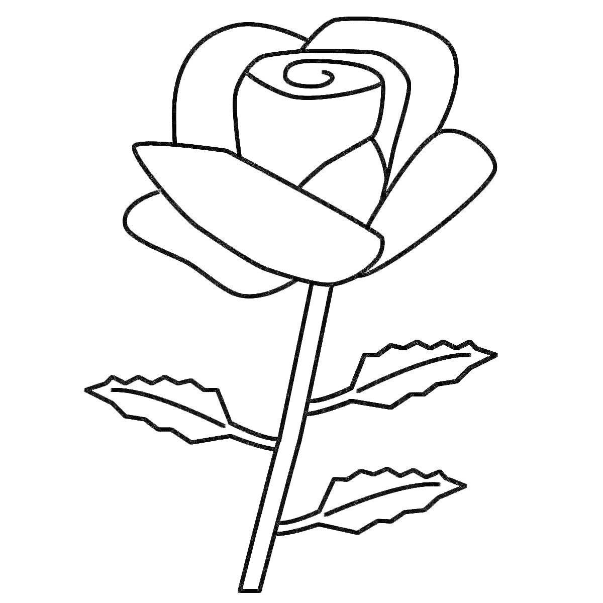 Раскраска Роза с листьями и стеблем