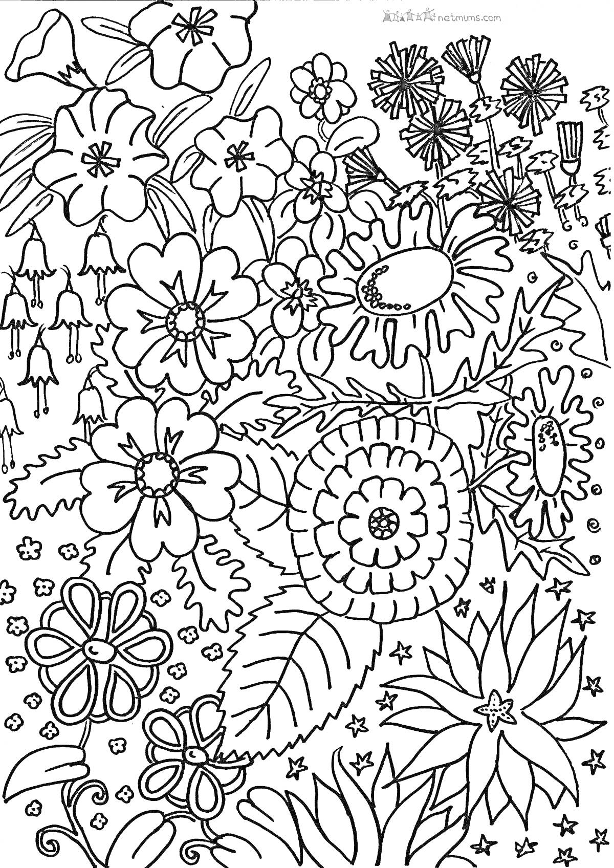 Раскраска Поляна цветов с различными цветками и листьями