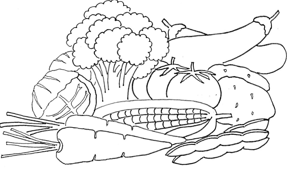 На раскраске изображено: Овощи, Брокколи, Баклажан, Картофель, Кукуруза, Морковь, Капуста, Фасоль, Еда