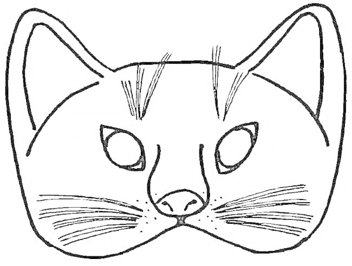 Раскраска Морда кота с усами, ушами и вибриссами.