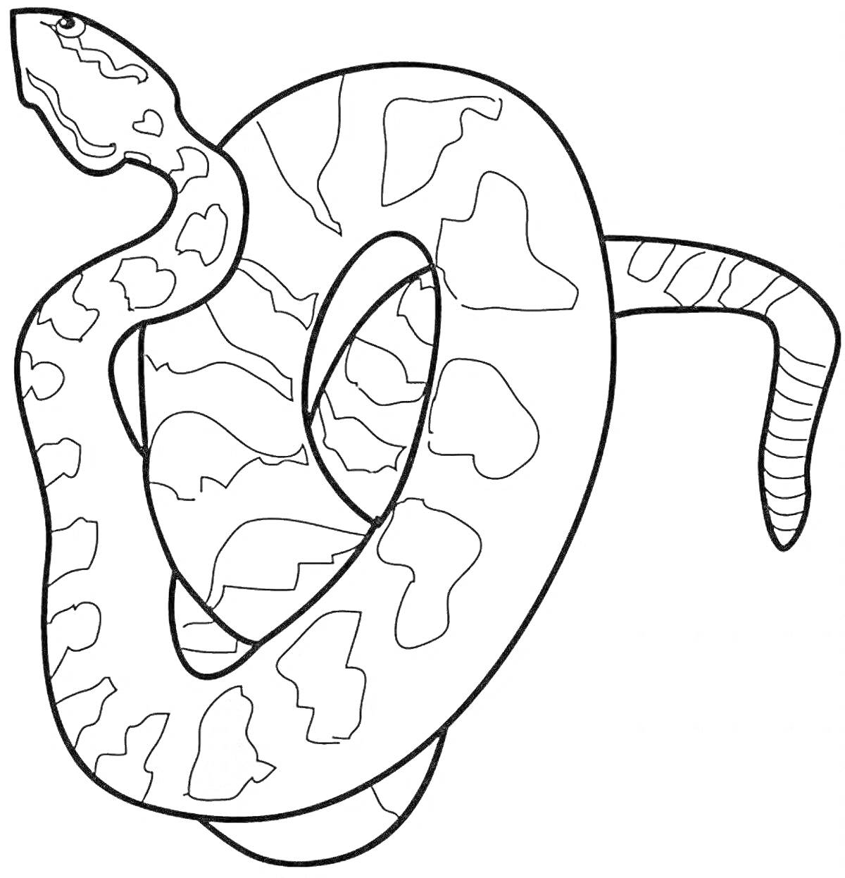 На раскраске изображено: Змея, Пятна, Животное, Контур, Узор, Рептилия