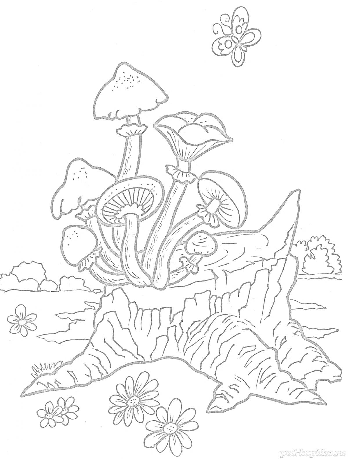На раскраске изображено: Пень, Бабочка, Цветы, Природа