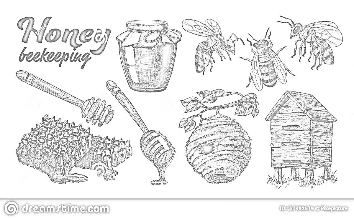 Раскраска ручная иллюстрация улея с банкой меда, пчелами, сотами и пчелиным домиком