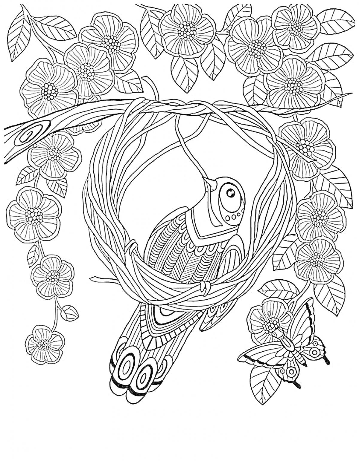 Раскраска Птица в гнезде с цветущими ветвями и бабочкой