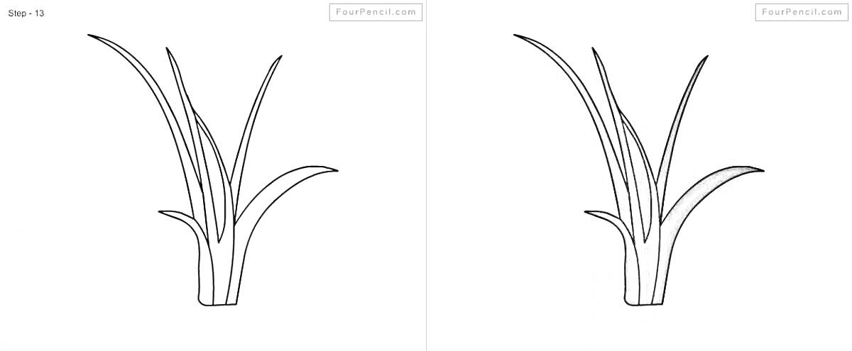 Раскраска трава, контурное изображение травы, раскрашенный рисунок травы