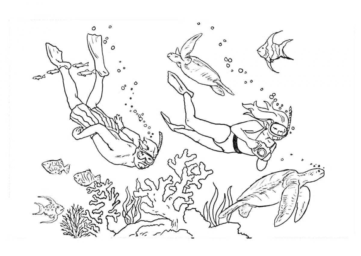 На раскраске изображено: Плавание, Подводное плавание, Кораллы, Подводный мир