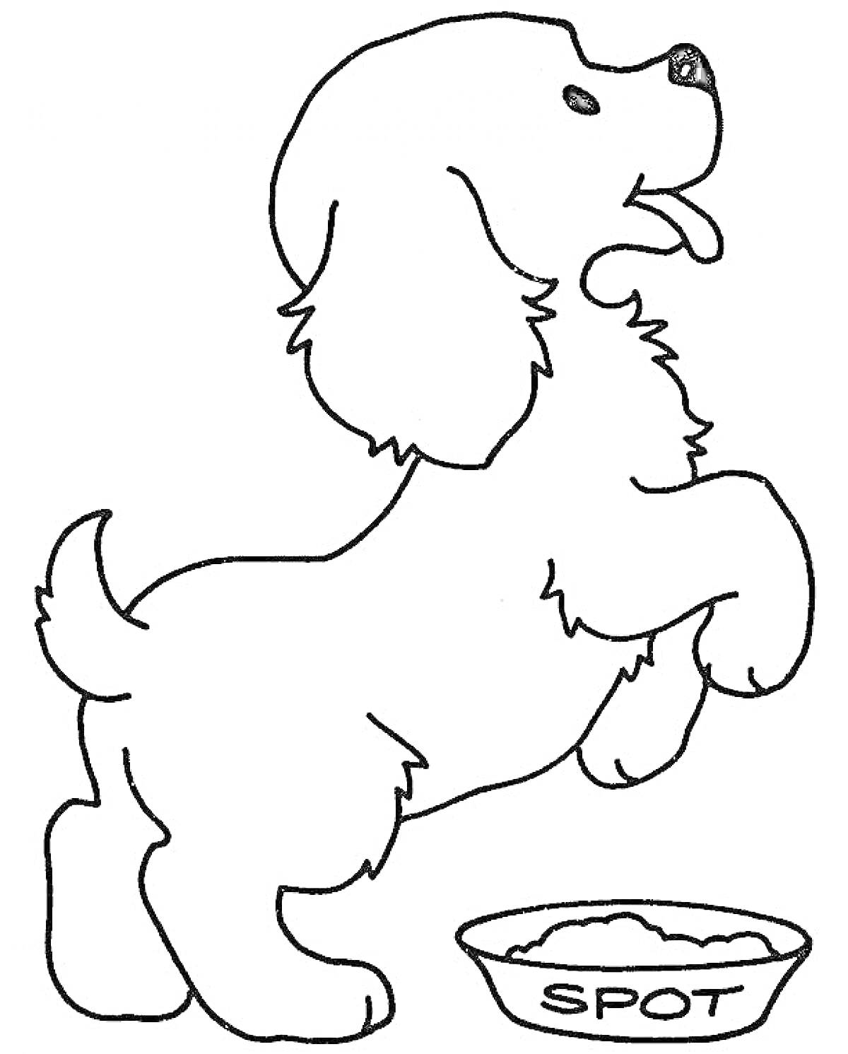 Раскраска Собака на задних лапах перед миской с едой