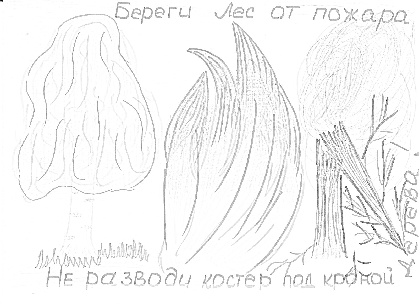 На раскраске изображено: Лес, Пожар, Огонь, Предупреждение, Безопасность, Пожарная безопасность, Природа