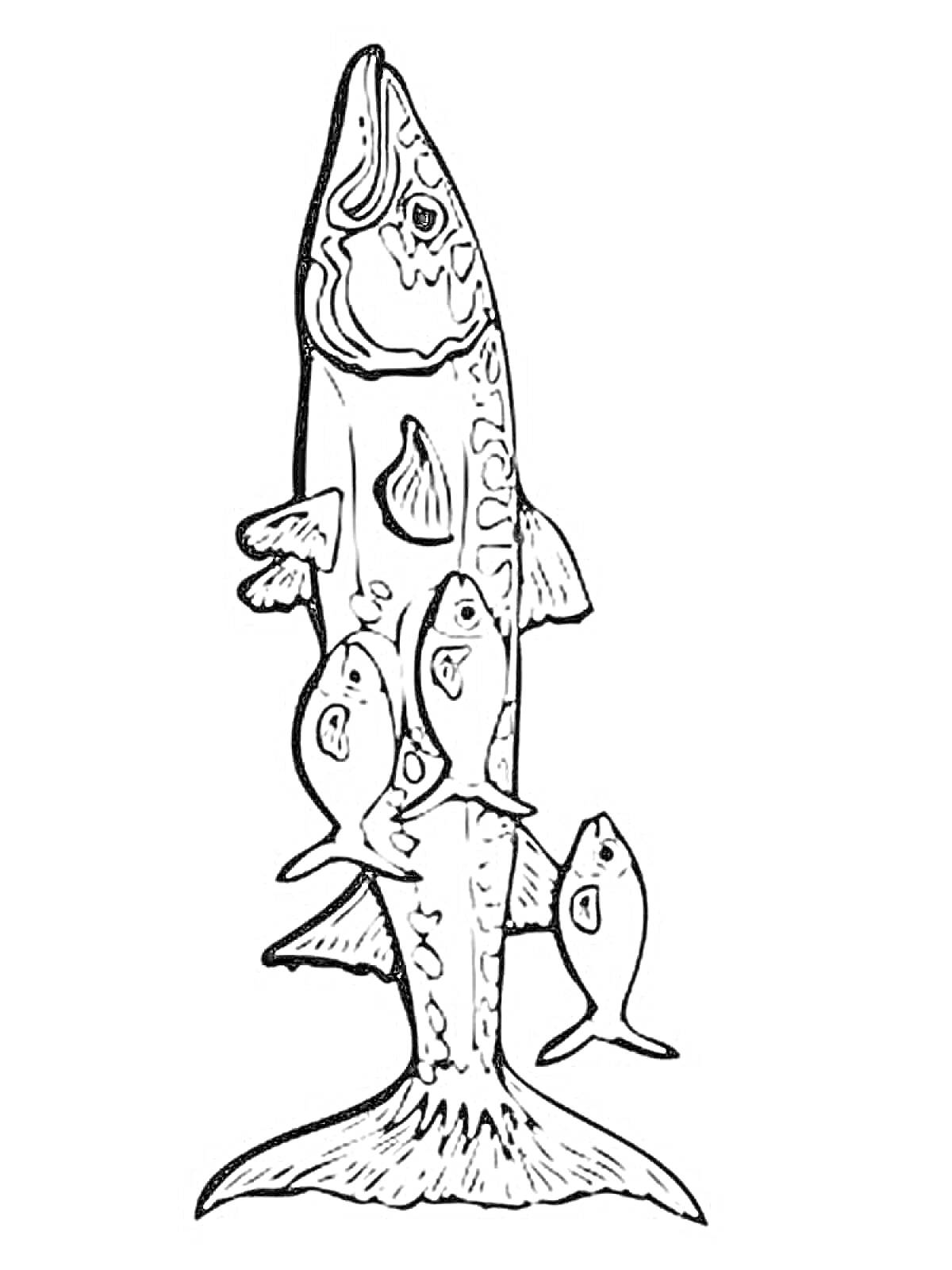 Раскраска Барракуда с маленькими рыбами