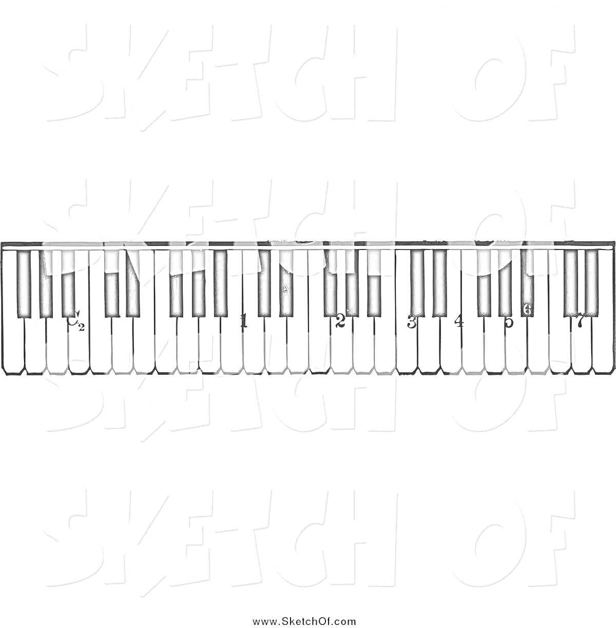 Раскраска Клавиши пианино с обозначениями нот