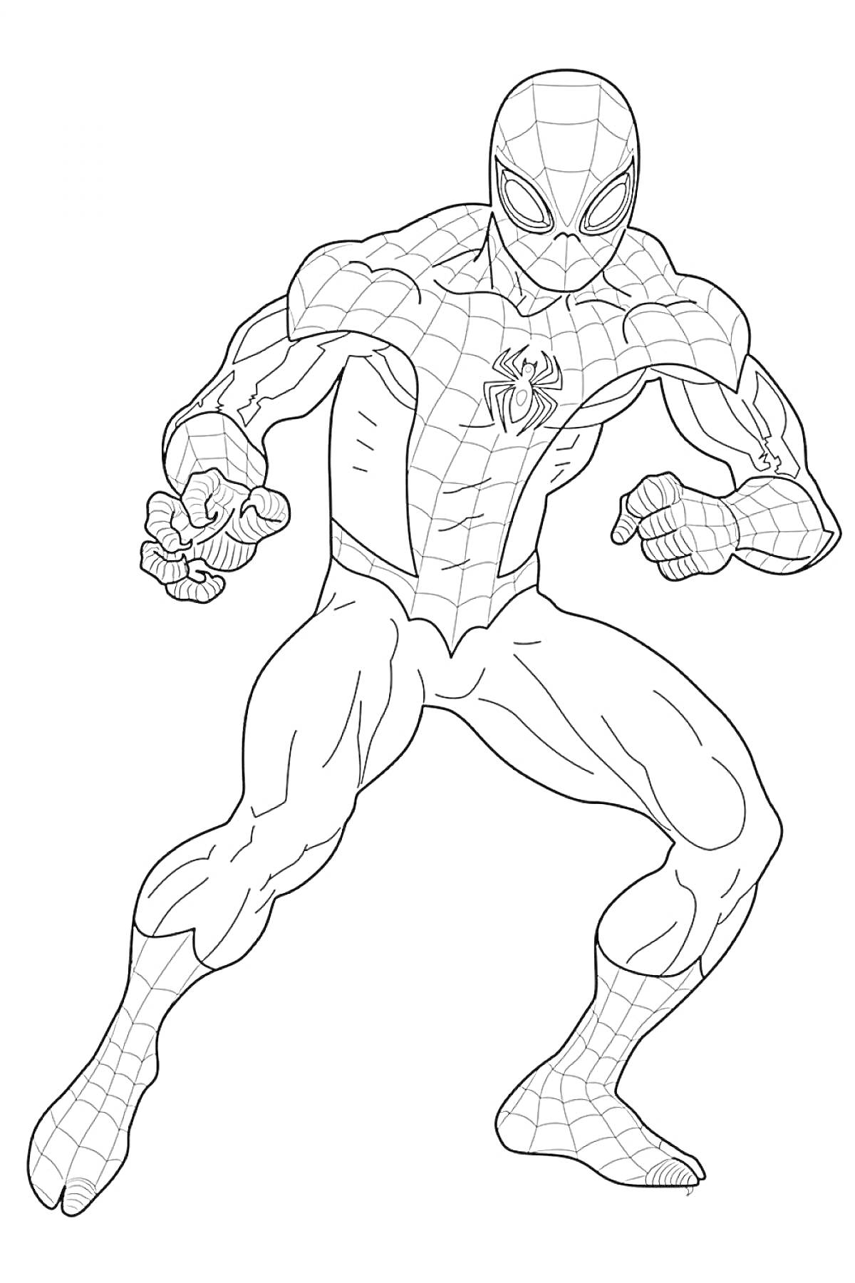 Раскраска Человек-паук в боевой стойке с паутиной на костюме