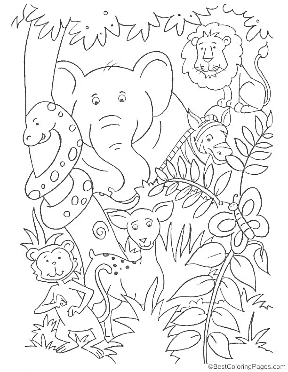 На раскраске изображено: Джунгли, Слон, Лев, Газель, Деревья, Кусты, Природа