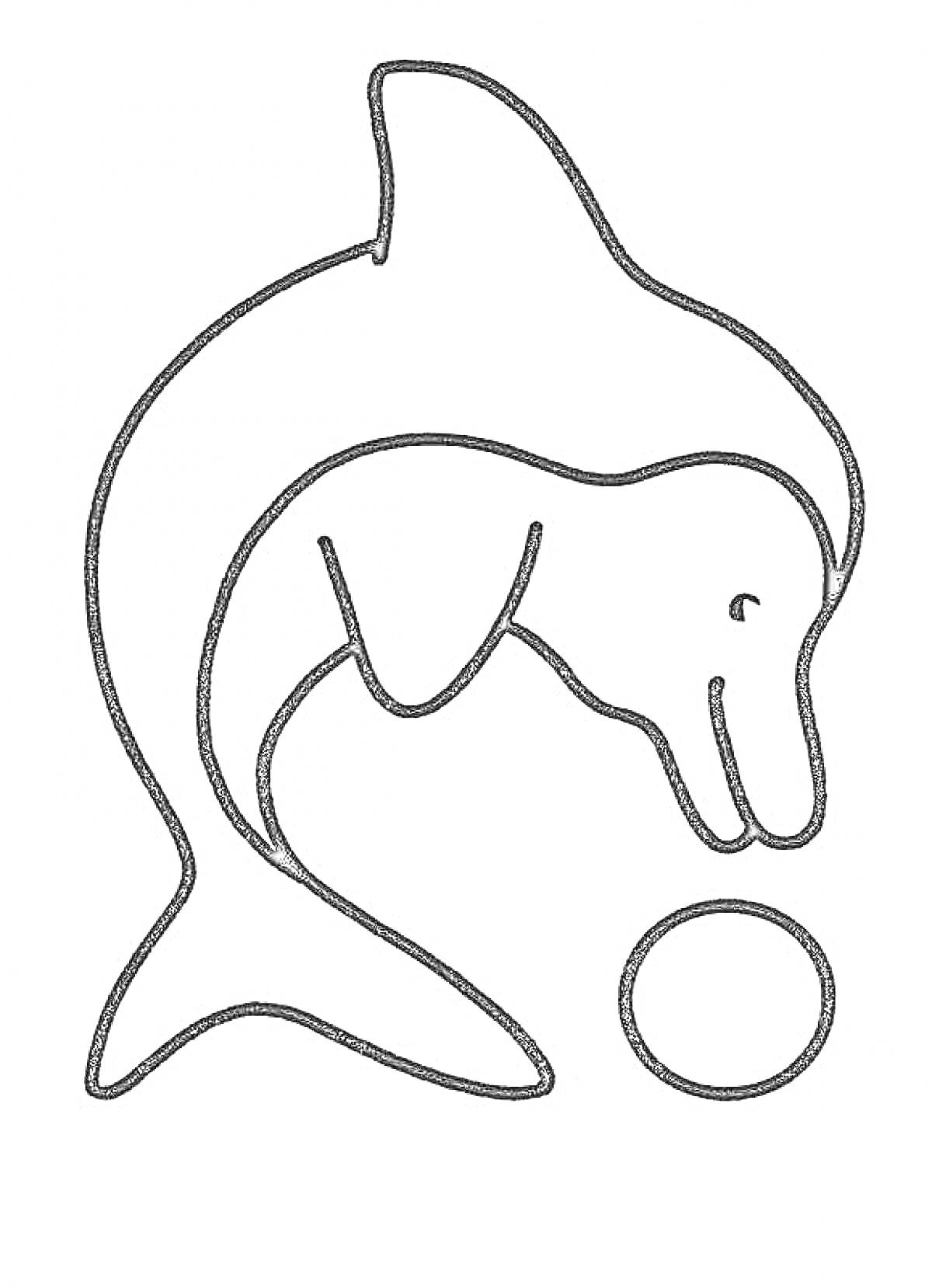 Раскраска Дельфин с мячом
