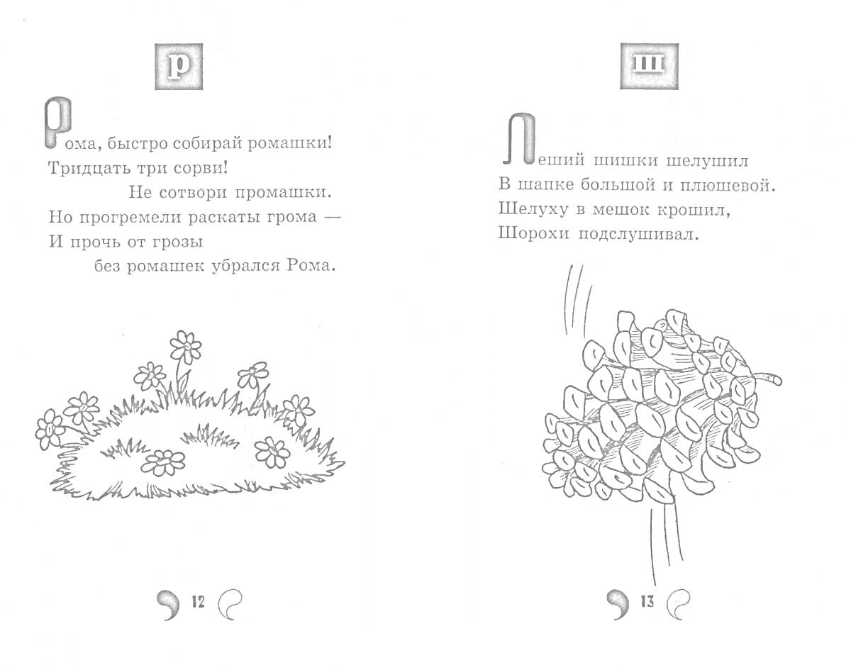 Раскраска ромашки, пучок шишек