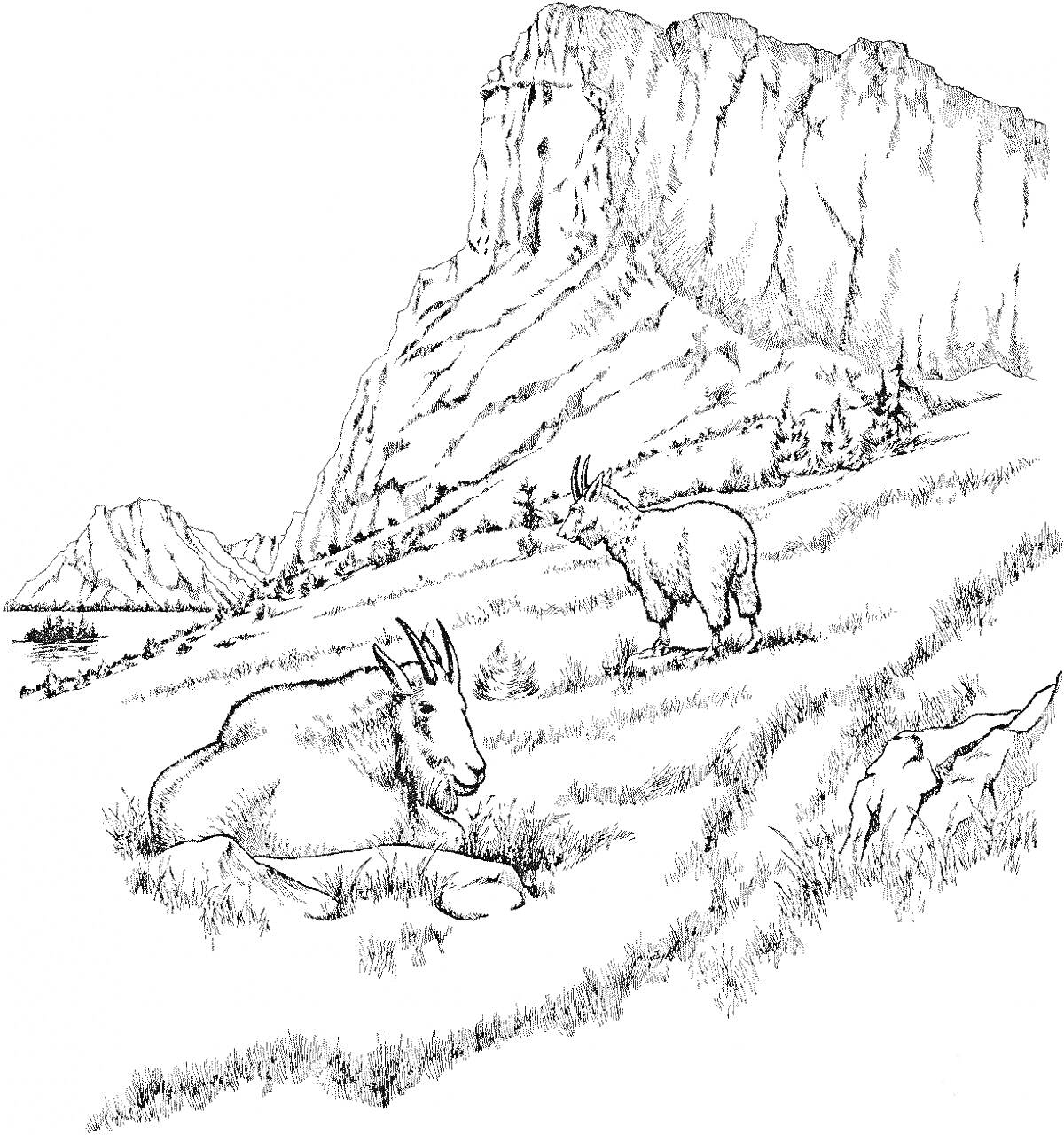 Горный пейзаж с двумя козами, крутой утес, холмы и растительность