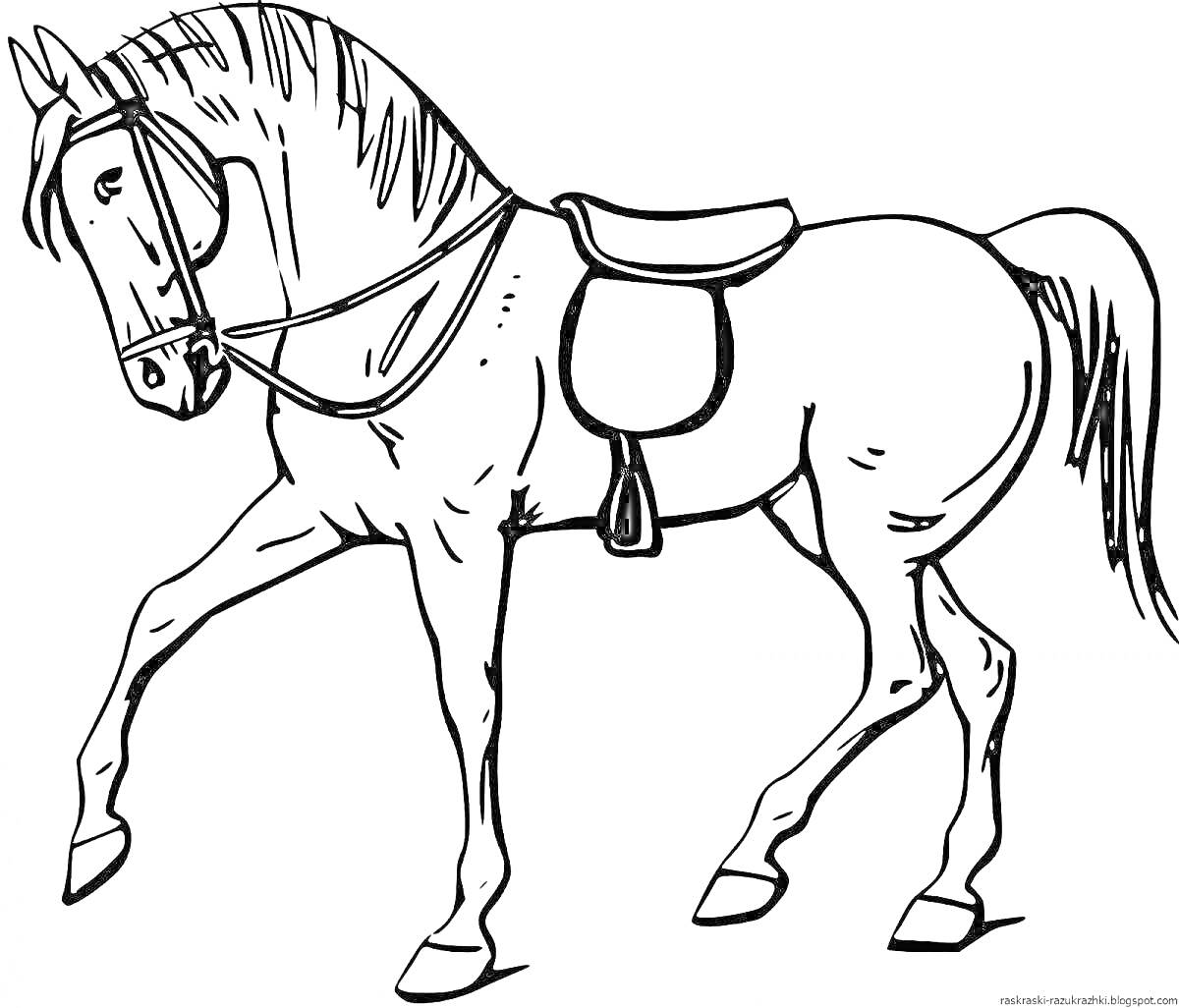 На раскраске изображено: Лошадь, Седло, Движение, Конь, Контурные рисунки
