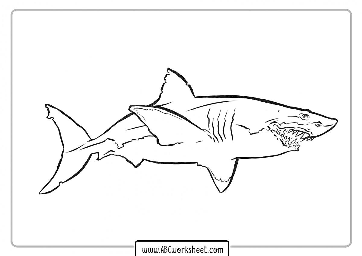 Большая акула с вытянутой пастью на раскраске от AkWorksheet.com