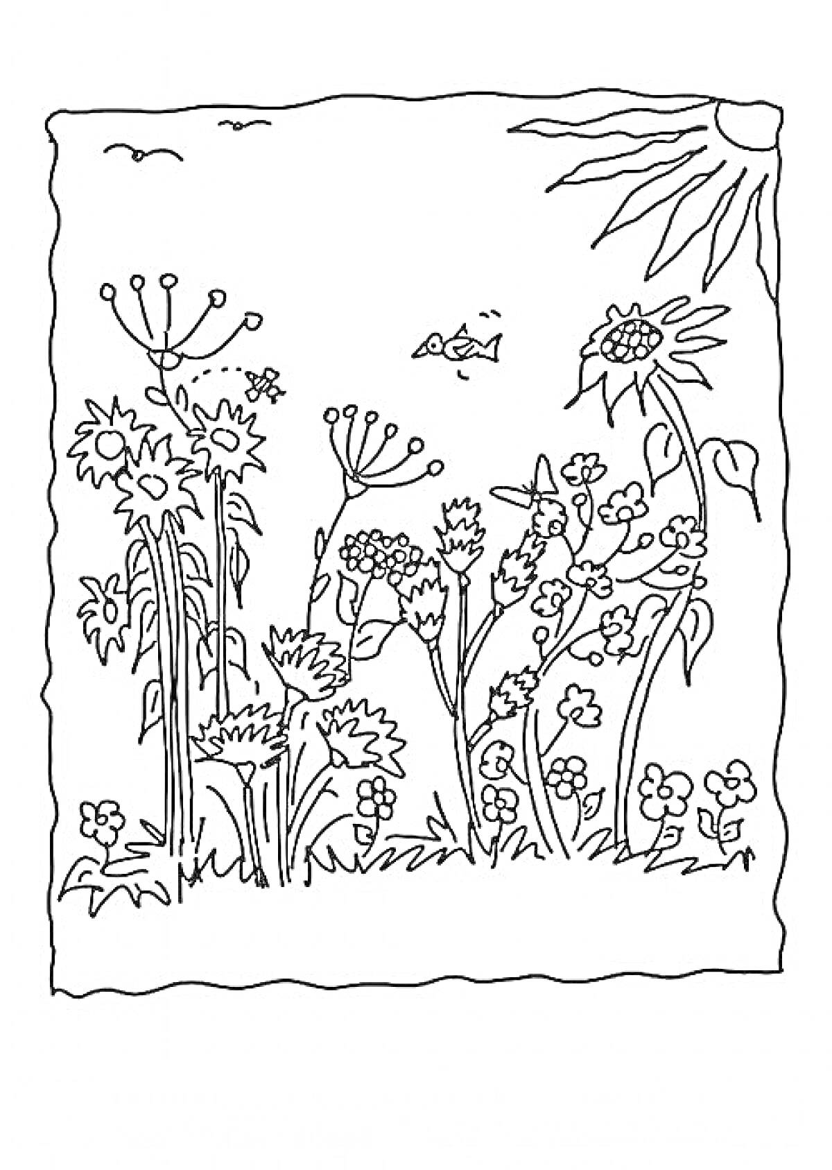 На раскраске изображено: Цветы, Луг, Солнце, Бабочка, Природа, Растения, Листва, Птица