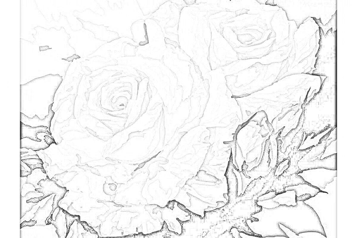 На раскраске изображено: Холст, Цветы, Розы, Листья, Романтика, Натюрморт, Искусство