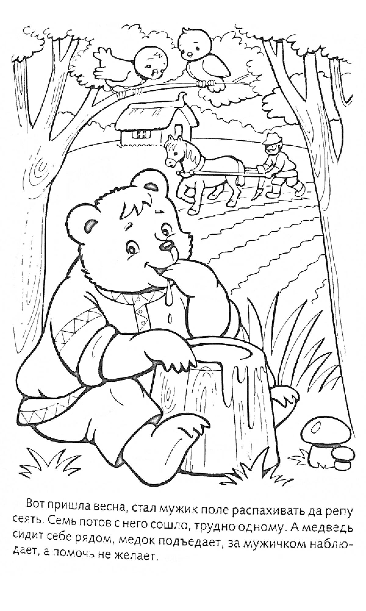 Медведь ест мед на пне, мужик пашет поле с лошадьми, дерево, птички, грибы