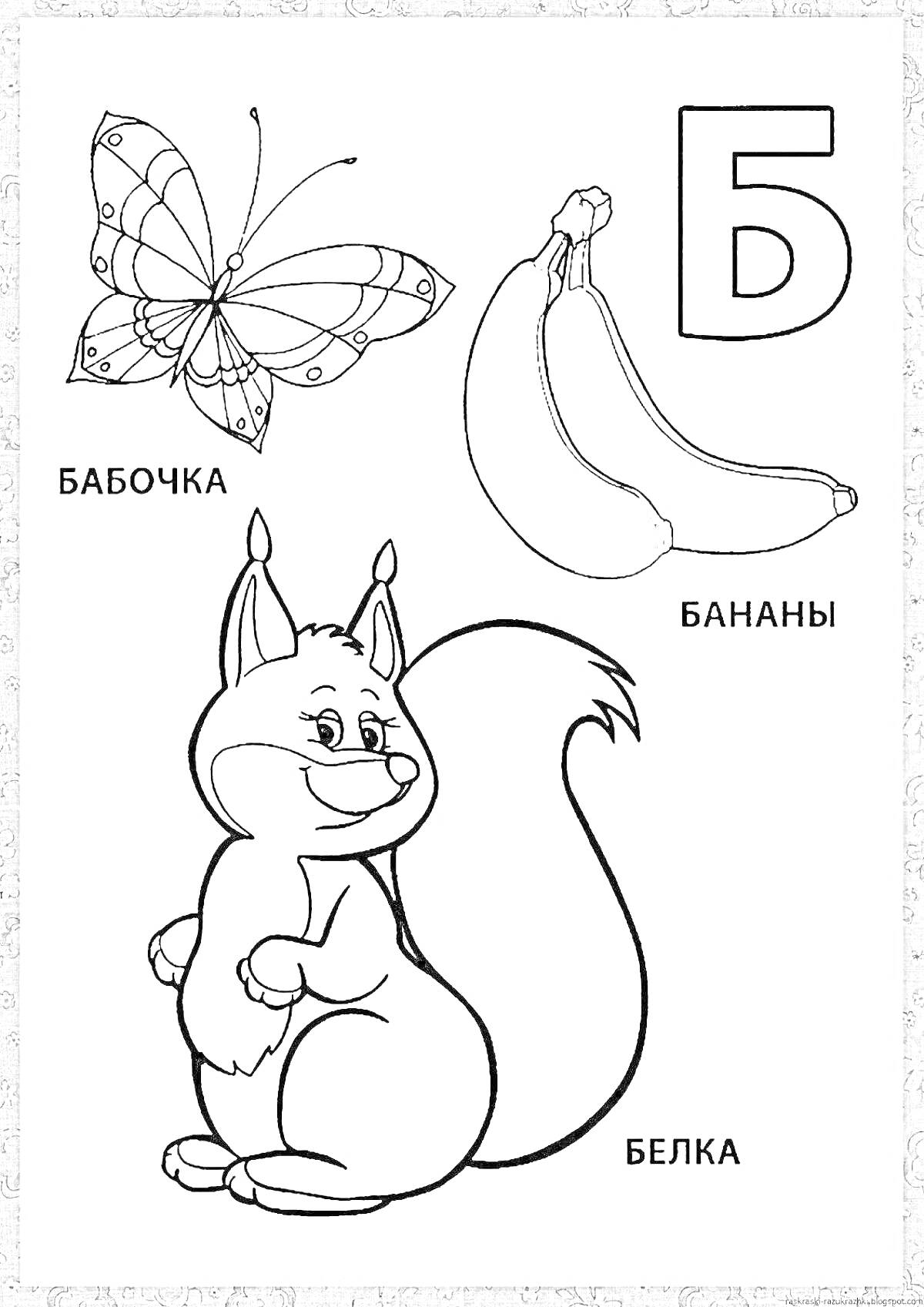 На раскраске изображено: Буква Б, Бабочка, Белка, Азбука, Для детей, Алфавит, Буквы, Учим буквы