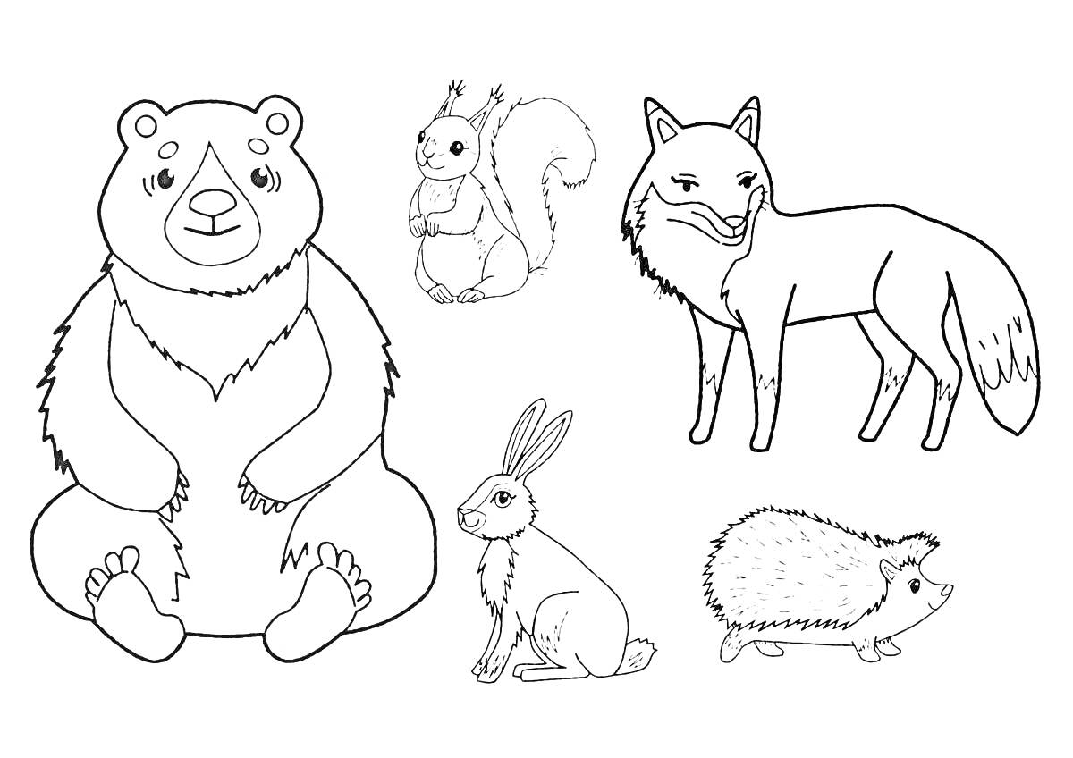 На раскраске изображено: Медведь, Белка, Лиса, Заяц, Еж, Зимние животные, Зима, Животные, Дикая природа