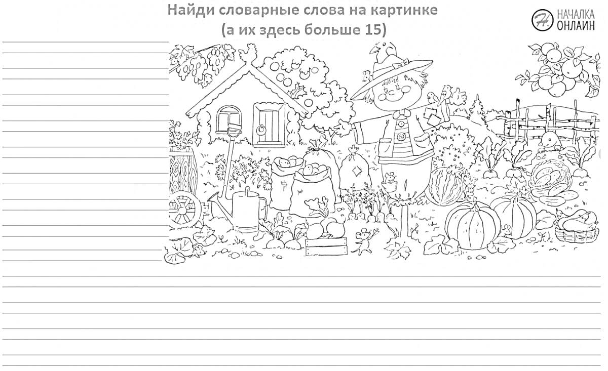 Раскраска Найди словарные слова на картинке: дом, забор, воробьи, сова, улитка, грибы, ящик, кот, ведро, грабли, коса, лопата, корзина, арбузы, помидоры