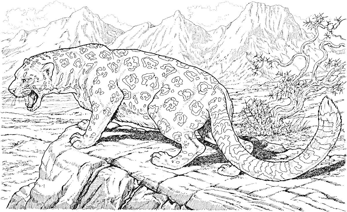 Раскраска Леопард с узорами среди гор