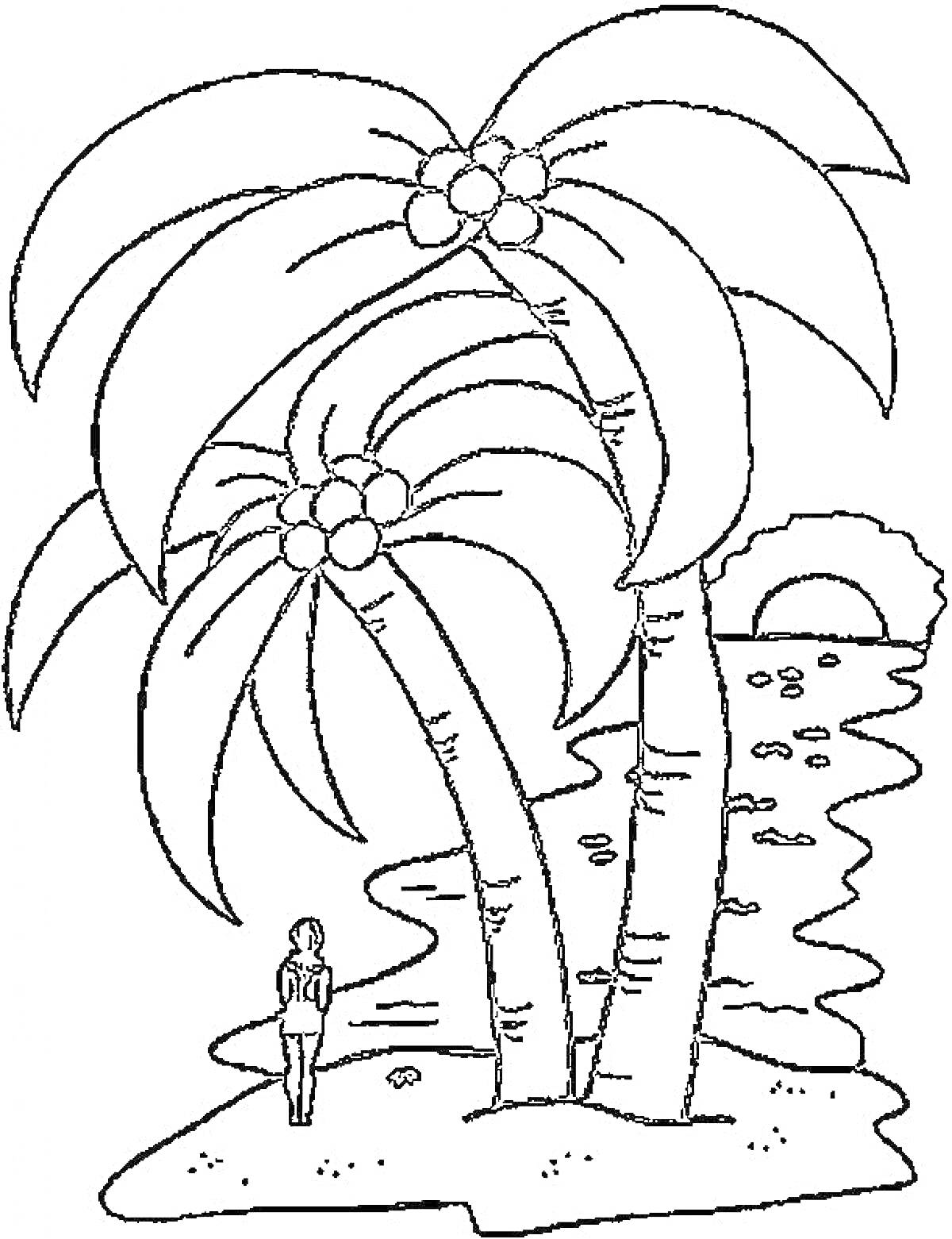 На раскраске изображено: Берег, Человек, Пляж, Природа, Закат, Тропики, Пальмы, Силуэты