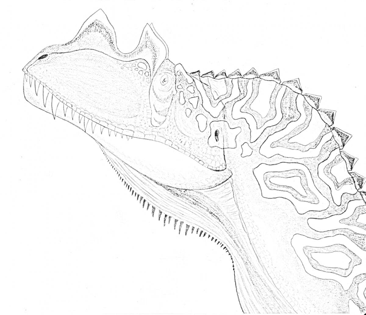 голова цератозавра с детальными бороздами на коже и узором