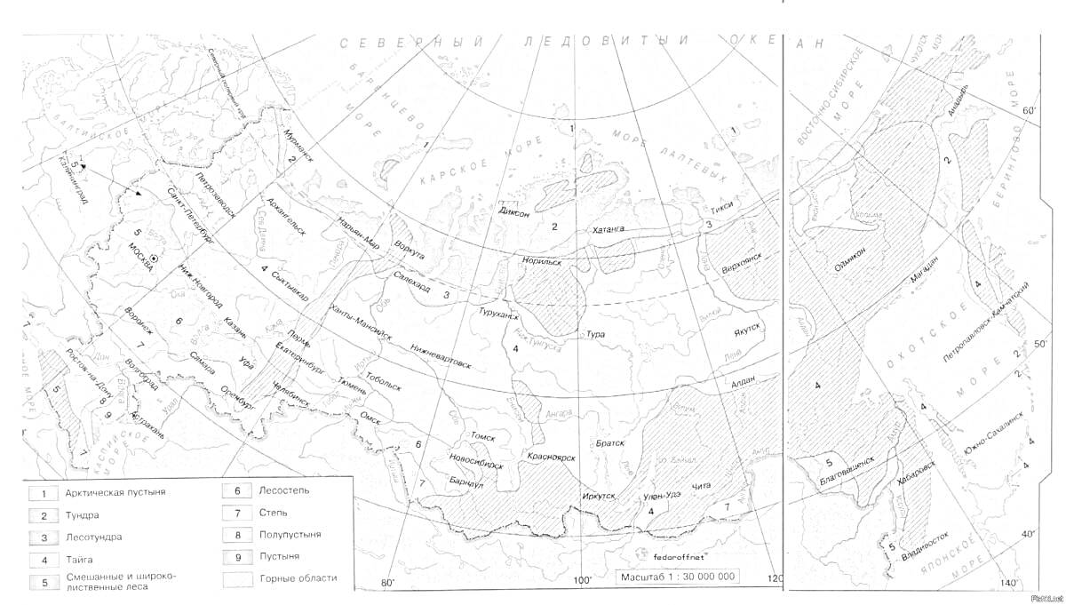 На раскраске изображено: Природные зоны, Карта, Россия, Тундра, Лесотундра, Тайга, Смешанные леса, Широколиственные леса, Лесостепь, Степь, Полупустыни, Города, География