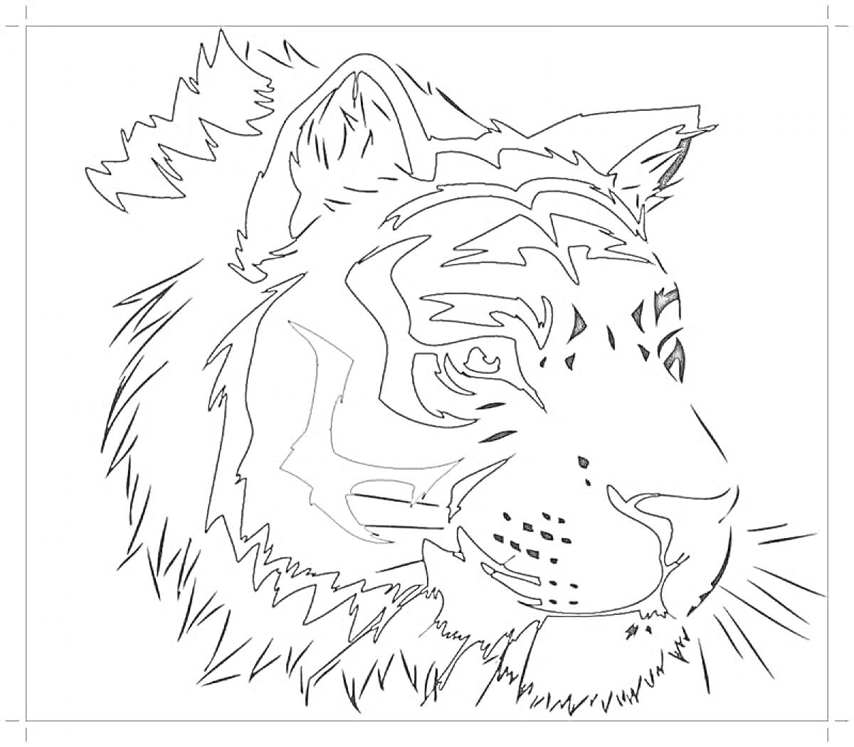 На раскраске изображено: Тигр, Голова, Профиль, Выжигание, Древесина, Животные